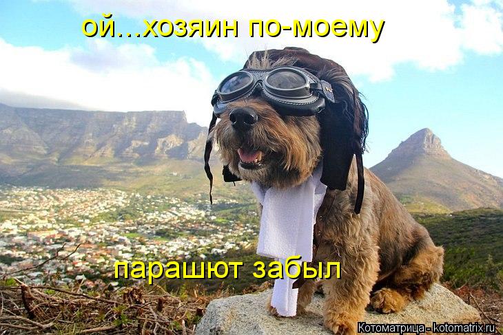 ой...хозяин по-моему парашют забыл... Котоматрица: ой...хозяин по-моему парашют забыл
