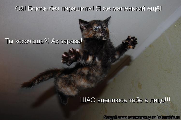 Ой! Боюсь без парашюта! Ой! Боюсь без парашюта! Я же маленький ещё! Ты хохочешь?! Ах зараза! ЩАС вце... Котоматрица: Ой! Боюсь без парашюта! Ой! Боюсь без парашюта! Я же маленький ещё! Ты хохочешь?! Ах зараза! ЩАС вцеплюсь тебе в лицо!!!