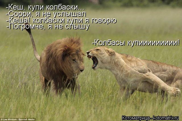 -Кеш, купи колбаски... -Сорри, я не услышал -Кеша! колбаски купи я говорю -Погромче, я не слышу -Колб... Котоматрица: -Кеш, купи колбаски... -Сорри, я не услышал -Кеша! колбаски купи я говорю -Погромче, я не слышу -Колбасы купиииииииии!