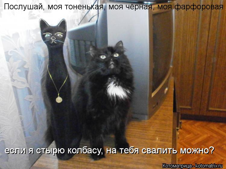Котоматрица: Послушай, моя тоненькая, моя чёрная, моя фарфоровая если я стырю колбасу, на тебя свалить можно?
