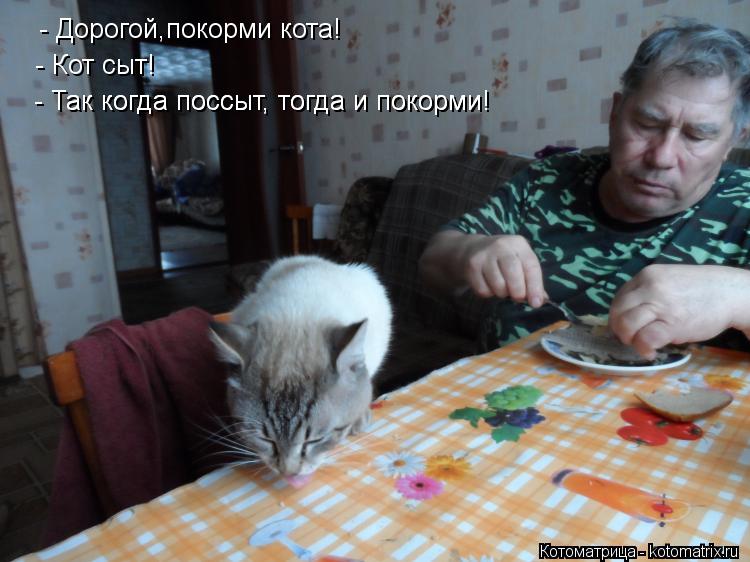 Котоматрица: - Дорогой,покорми кота! - Кот сыт! - Так когда поссыт, тогда и покорми! - Так когда поссыт, тогда и покорми!
