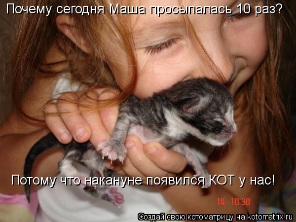 Котоматрица: Почему сегодня Маша просыпалась 10 раз? Потому что накануне появился КОТ у нас!