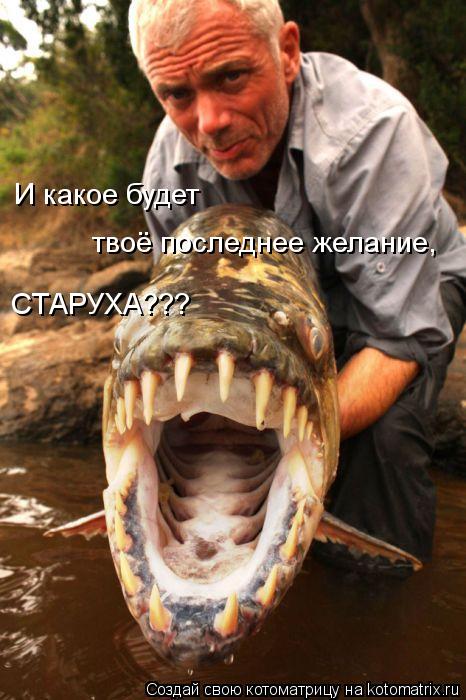 Котоматрица: И какое будет твоё последнее желание, СТАРУХА???