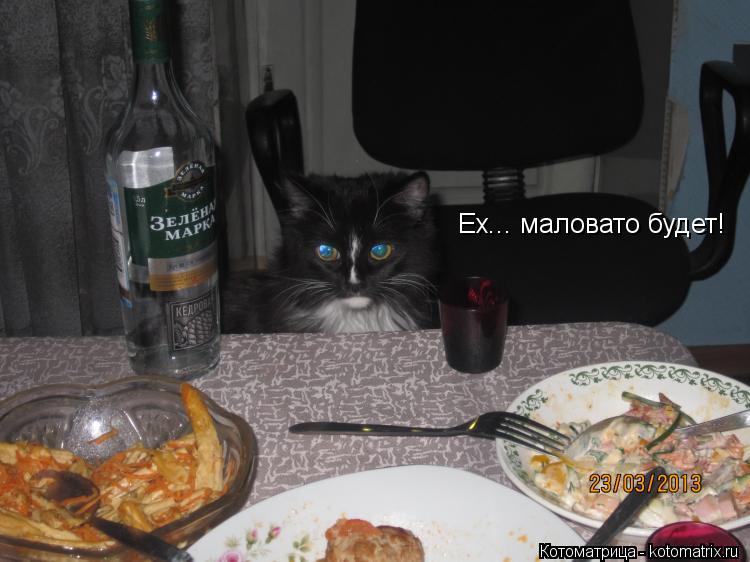 Ех... маловато будет!... Котоматрица: Ех... маловато будет!