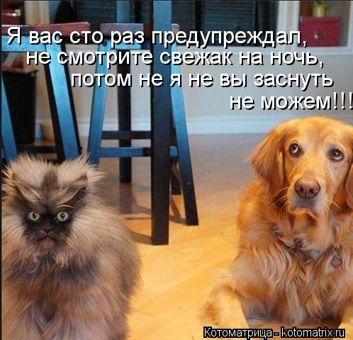 Я вас сто раз предупреждал, не смотрите свежак на ночь, потом не я не вы заснуть не можем!!!... Котоматрица: Я вас сто раз предупреждал, не смотрите свежак на ночь, потом не я не вы заснуть не можем!!!