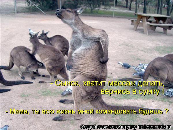 - Сынок, хватит массаж делать, вернись в сумку ! - Мама, ты всю жизнь мной командовать будешь ?... Котоматрица: - Сынок, хватит массаж делать, вернись в сумку ! - Мама, ты всю жизнь мной командовать будешь ?