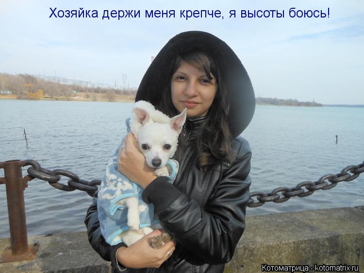 Котоматрица: Хозяйка держи меня крепче, я высоты боюсь!