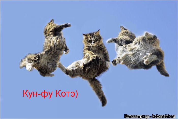 Кун-фу Котэ)... Котоматрица: Кун-фу Котэ)