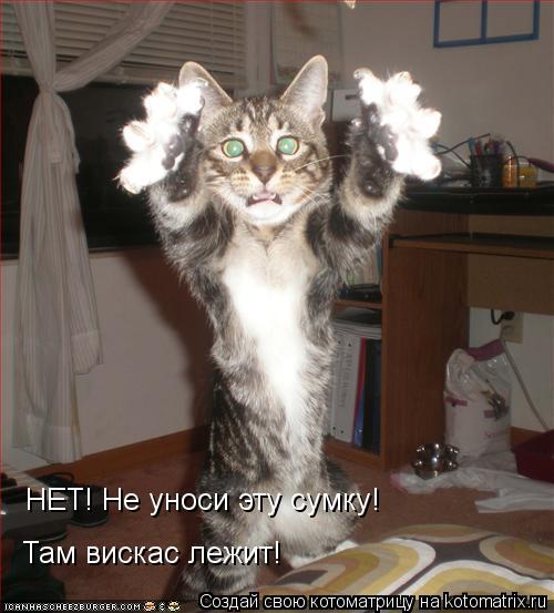 НЕТ! Не уноси эту сумку! Там вискас лежит!... Котоматрица: НЕТ! Не уноси эту сумку! Там вискас лежит!