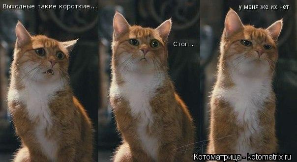 Выходные такие короткие... Стоп... у меня же их нет... Котоматрица: Выходные такие короткие... Стоп... у меня же их нет