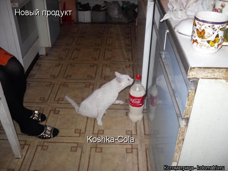 Котоматрица: Новый продукт Koshka-Cola