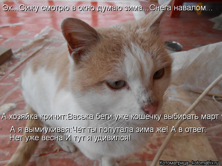 Эх...Сижу смотрю в окно думаю зима...Снега навалом... А я вымиукивая:Чёт ты попутала зима же! А в отв... Котоматрица: Эх...Сижу смотрю в окно думаю зима...Снега навалом... А я вымиукивая:Чёт ты попутала зима же! А в ответ: Нет уже весна!И тут я удивился! А хозяйка