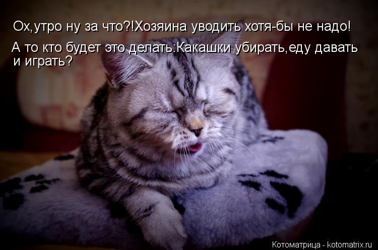 Ох,утро ну за что?!Хозяина уводить хотя-бы не надо! А то кто будет это делать:Какашки убирать,еду дав... Котоматрица: Ох,утро ну за что?!Хозяина уводить хотя-бы не надо! А то кто будет это делать:Какашки убирать,еду давать и играть?