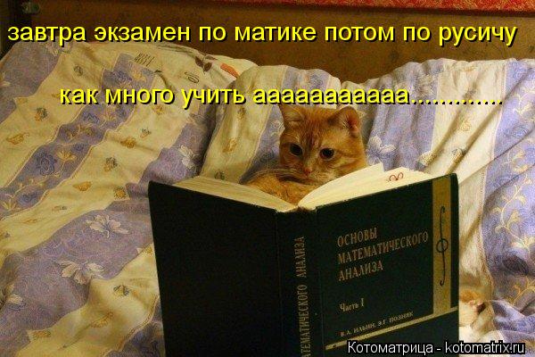 Котоматрица: завтра экзамен по матике потом по русичу  как много учить ааааааааааа............. как много учить ааааааааааа.............