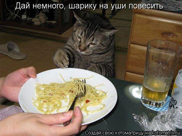 Дай немного, шарику на уши повесить... Котоматрица: Дай немного, шарику на уши повесить