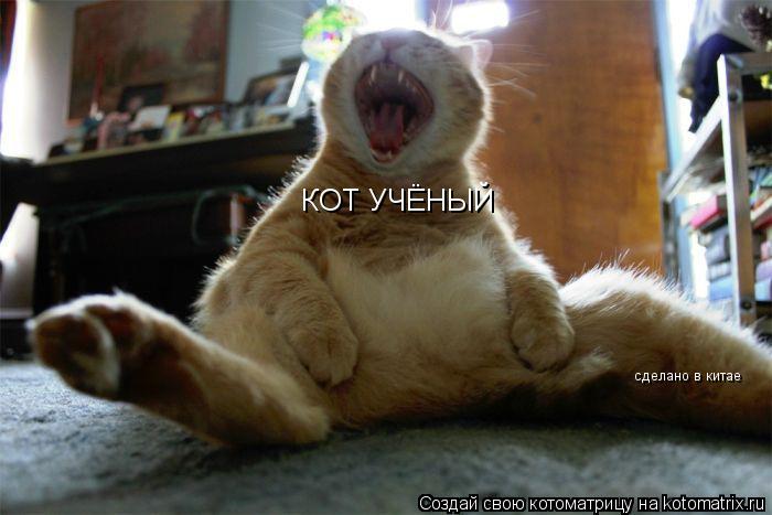 Котоматрица: КОТ УЧЁНЫЙ сделано в китае