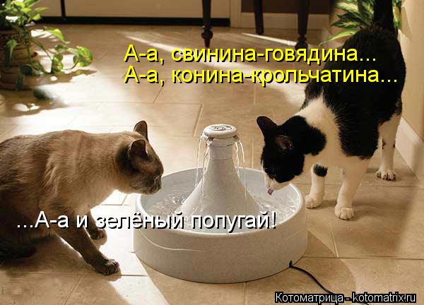 А-а, свинина-говядина... А-а, конина-крольчатина... ...А-а и зелёный попугай!... Котоматрица: А-а, свинина-говядина... А-а, конина-крольчатина... ...А-а и зелёный попугай!