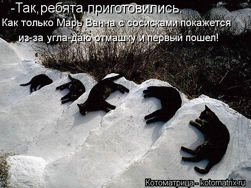 -Так,ребята,приготовились. Как только Марь Ванна с сосисками покажется из-за угла-даю отмашку и перв... Котоматрица: -Так,ребята,приготовились. Как только Марь Ванна с сосисками покажется из-за угла-даю отмашку и первый пошел!