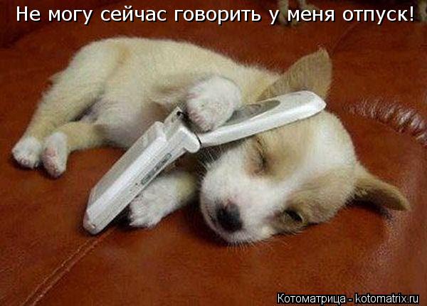 Не могу сейчас говорить у меня отпуск!... Котоматрица: Не могу сейчас говорить у меня отпуск!