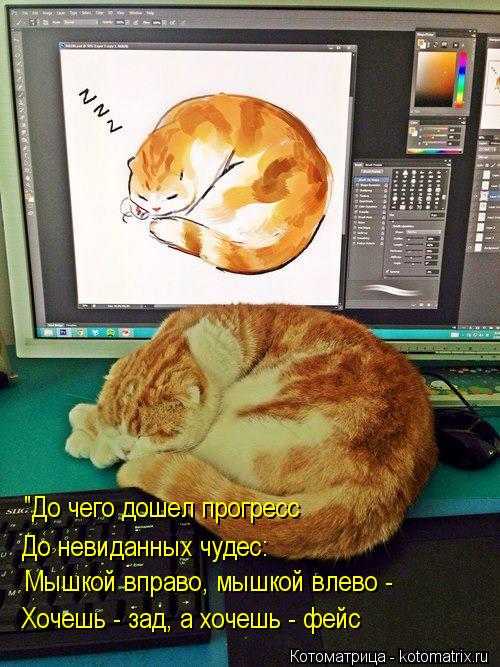 "До чего дошел прогресс Мышкой вправо, мышкой влево - Хочешь - зад, а хочешь - фейс До невиданных чуд... Котоматрица: "До чего дошел прогресс Мышкой вправо, мышкой влево - Хочешь - зад, а хочешь - фейс До невиданных чудес: