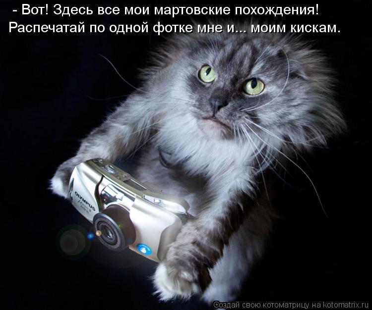 - Вот! Здесь все мои мартовские похождения! Распечатай по одной фотке мне и... моим кискам.... Котоматрица: - Вот! Здесь все мои мартовские похождения! Распечатай по одной фотке мне и... моим кискам.