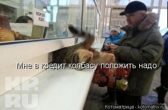 Котоматрица: Мне в кредит колбасу положить надо