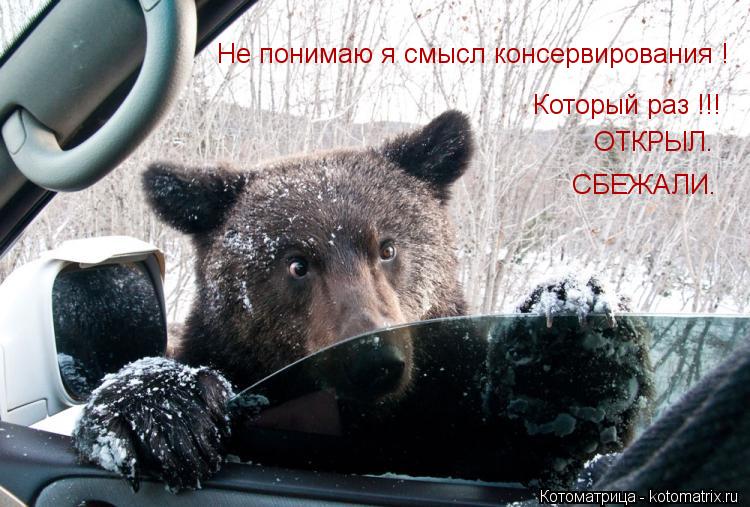 Котоматрица: Не понимаю я смысл консервирования ! Который раз !!! ОТКРЫЛ. СБЕЖАЛИ.