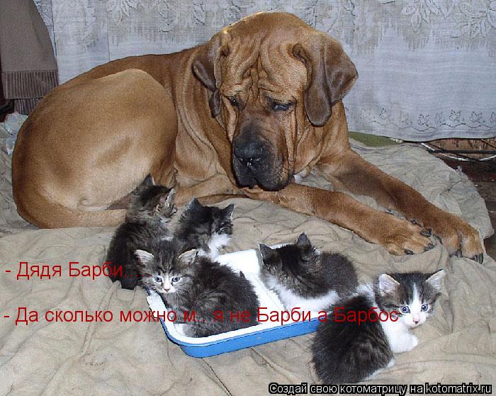 - Дядя Барби..... - Да сколько можно м.. я не Барби а Барбос... Котоматрица: - Дядя Барби..... - Да сколько можно м.. я не Барби а Барбос