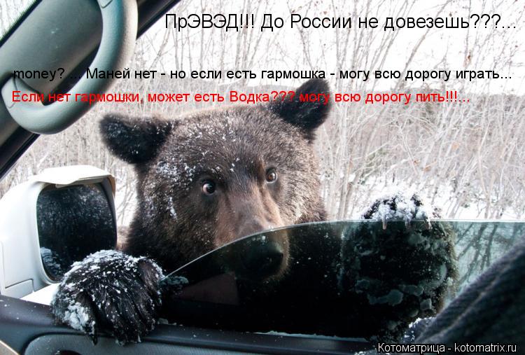 Котоматрица: ПрЭВЭД!!! До России не довезешь???... money? ... Маней нет - но если есть гармошка - могу всю дорогу играть... Если нет гармошки, может есть Водка??? мог