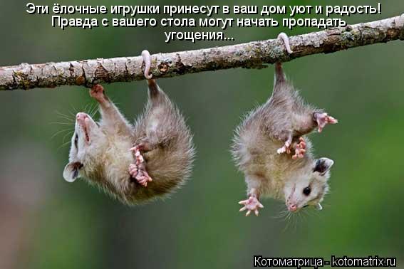 Эти ёлочные игрушки принесут в ваш дом уют и радость! Правда с вашего стола могут начать пропадать уг... Котоматрица: Эти ёлочные игрушки принесут в ваш дом уют и радость! Правда с вашего стола могут начать пропадать угощения...