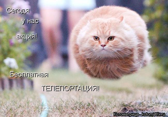 Сегодя у нас акция! Бесплатная ТЕЛЕПОРТАЦИЯ!... Котоматрица: Сегодя у нас акция! Бесплатная ТЕЛЕПОРТАЦИЯ!