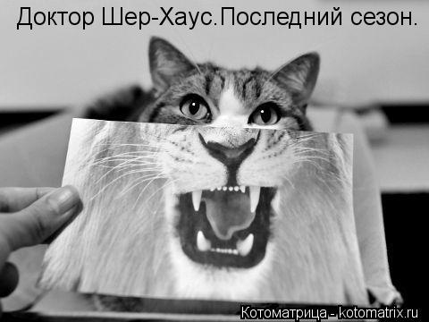 Доктор Шер-Хаус.Последний сезон.... Котоматрица: Доктор Шер-Хаус.Последний сезон.