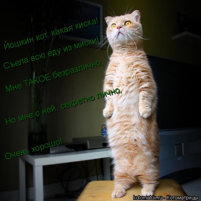 Йошкин кот, какая киска! Съела всю еду из миски! Мне ТАКОЕ безразлично, Но мне с ней, секретно лично,... Котоматрица: Йошкин кот, какая киска! Съела всю еду из миски! Мне ТАКОЕ безразлично, Но мне с ней, секретно лично, Очень хорошо!