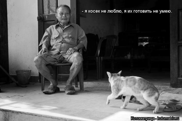 Котоматрица: - я косек не люблю, я их готовить не умею.