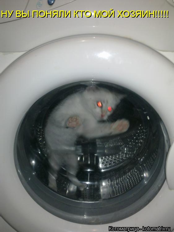НУ ВЫ ПОНЯЛИ КТО МОЙ ХОЗЯИН!!!!!... Котоматрица: НУ ВЫ ПОНЯЛИ КТО МОЙ ХОЗЯИН!!!!!
