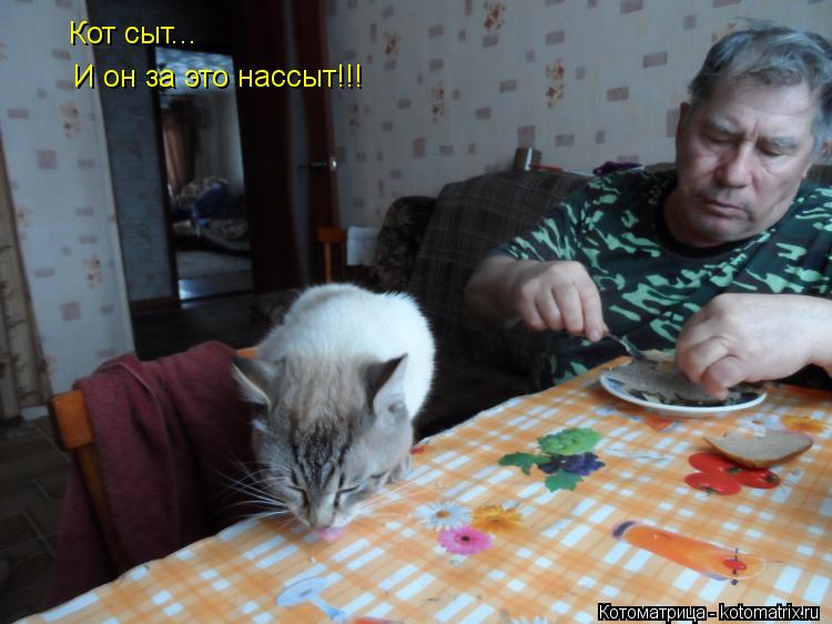 Кот сыт... И он за это нассыт!!!... Котоматрица: Кот сыт... И он за это нассыт!!!