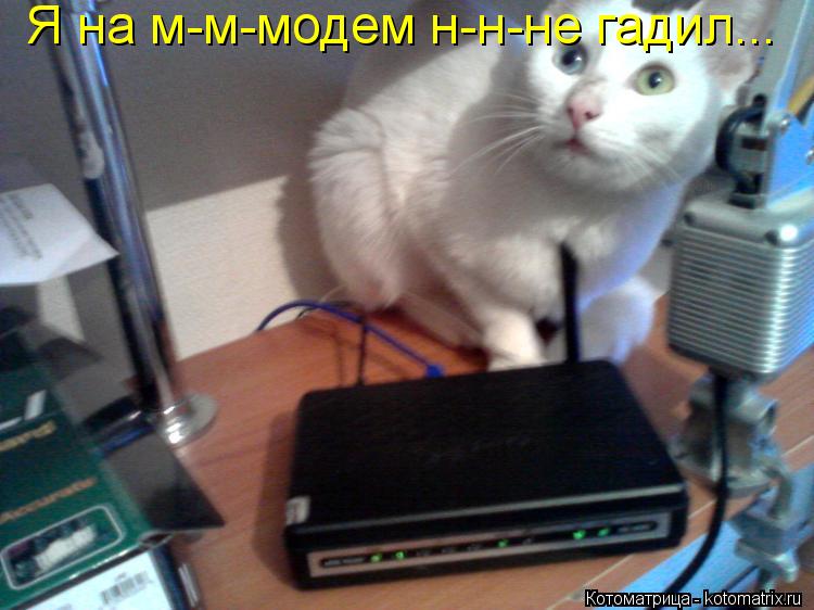 Я на м-м-модем н-н-не гадил...... Котоматрица: Я на м-м-модем н-н-не гадил...