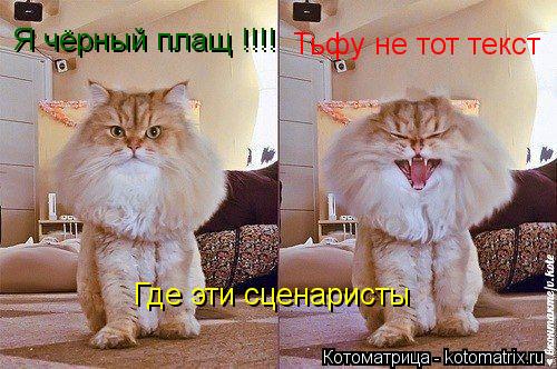 Котоматрица: Я чёрный плащ !!!! Тьфу не тот текст  Где эти сценаристы