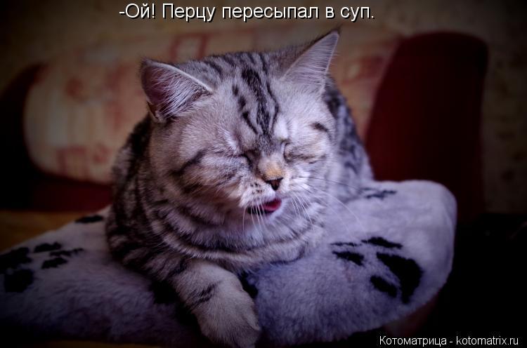 -Ой! Перцу пересыпал в суп.... Котоматрица: -Ой! Перцу пересыпал в суп.