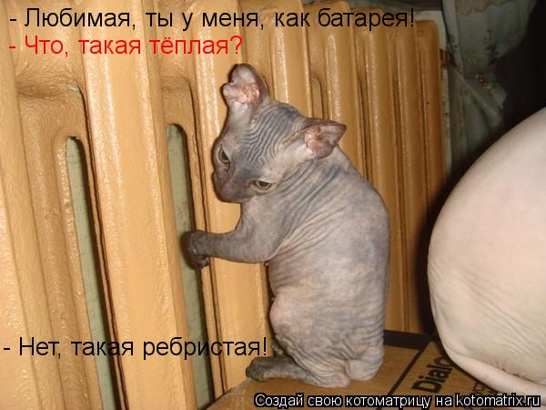 - Любимая, ты у меня, как батарея! - Что, такая тёплая? - Нет, такая ребристая!... Котоматрица: - Любимая, ты у меня, как батарея! - Что, такая тёплая? - Нет, такая ребристая!