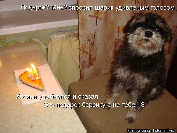 Котоматрица: Подарок? Мне? - спросил шарик удивленым голосом Хозяин улыбнулся и сказал Это подарок барсику а не тебе! :З
