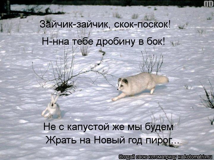 Зайчик-зайчик, скок-поскок! Н-нна тебе дробину в бок! Не с капустой же мы будем Жрать на Новый год... Котоматрица: Зайчик-зайчик, скок-поскок! Н-нна тебе дробину в бок! Не с капустой же мы будем Жрать на Новый год пирог...
