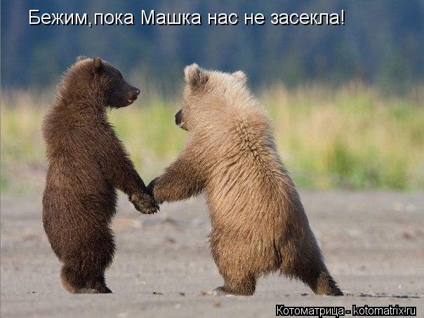 Котоматрица: Бежим,пока Машка нас не засекла!