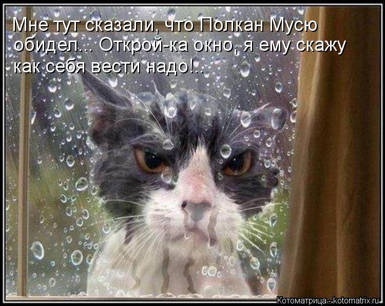 Котоматрица: Мне тут сказали, что Полкан Мусю обидел... Открой-ка окно, я ему скажу  как себя вести надо!..