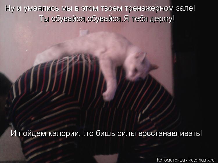Котоматрица: Ну и умаялись мы в этом твоем тренажерном зале! Ты обувайся,обувайся.Я тебя держу! И пойдем калории...то бишь силы восстанавливать!