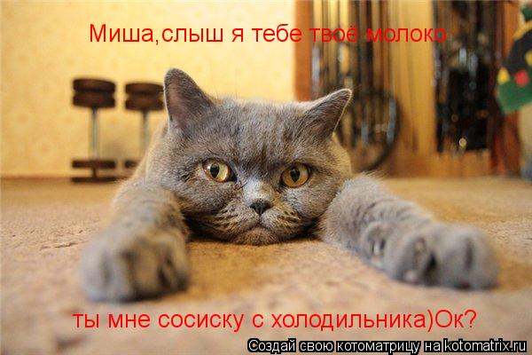 Миша,слыш я тебе твоё молоко ты мне сосиску с холодильника)Ок?... Котоматрица: Миша,слыш я тебе твоё молоко ты мне сосиску с холодильника)Ок?
