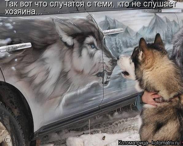Так вот что случатся с теми, кто не слушает хозяина...... Котоматрица: Так вот что случатся с теми, кто не слушает хозяина...