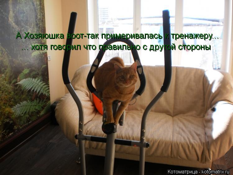 Котоматрица: А Хозяюшка воот-так примеривалась к тренажеру... ... хотя говорил что правильно с другой стороны