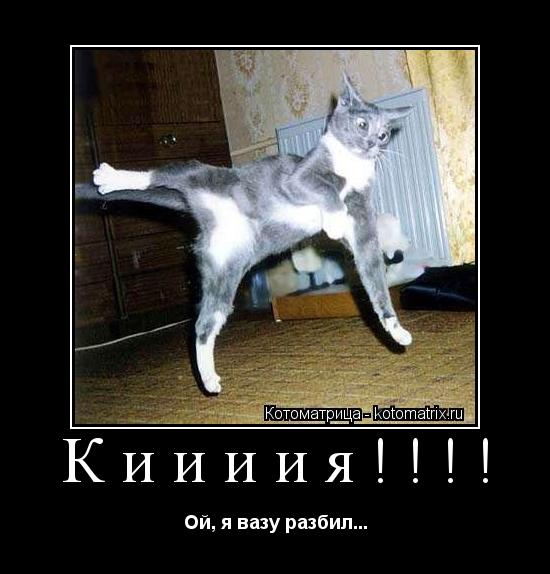 Киииия!!!! Ой, я вазу разбил...... Котоматрица: Киииия!!!! Ой, я вазу разбил...