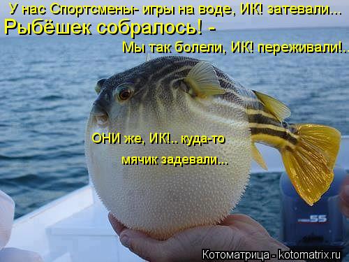 Рыбёшек собралось! - Мы так болели, ИК! переживали!.. мячик задевали... ОНИ же, ИК!.. куда-то У нас ... Котоматрица: Рыбёшек собралось! - Мы так болели, ИК! переживали!.. мячик задевали... ОНИ же, ИК!.. куда-то У нас Спортсмены- игры на воде, ИК! затевали...